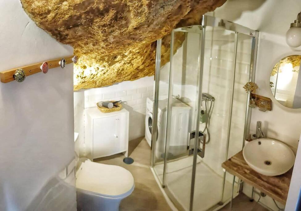 Casa Cueva La Luna Setenil De Las Bodegas Bagian luar foto